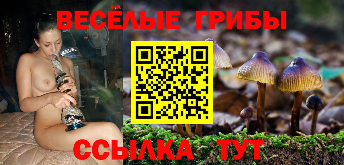 купить наркотики сайты  Вход с VPN  Псилоцибиновые грибы Cubensis  Гусиноозёрск  Галлюциногенные грибы GOLDEN TEACHER 