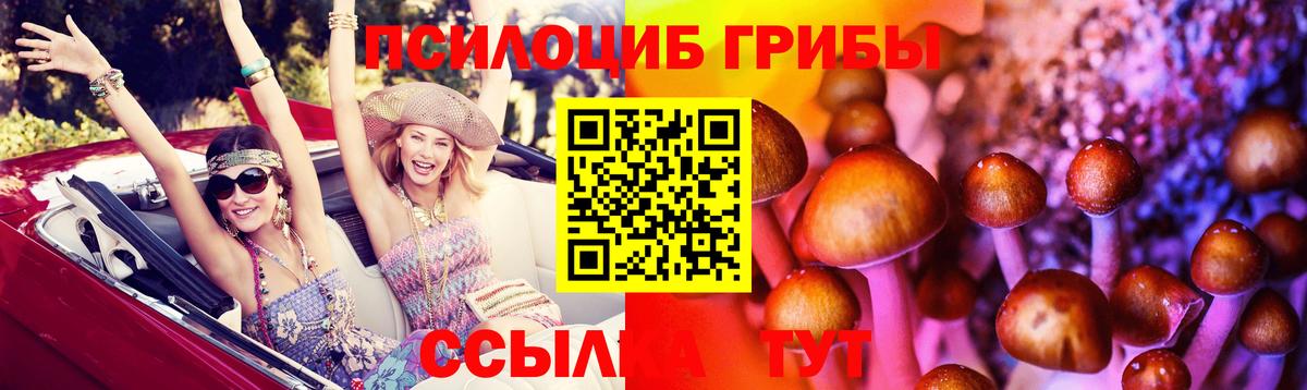 Галлюциногенные грибы Psilocybine cubensis Гусиноозёрск